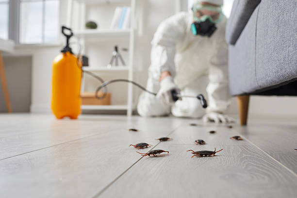 Trusted Cockroach Control service in Portage, WI - Nex Pest Control